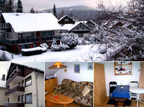 Besuchen Sie Ferienwohnung Anke in Braunlage im Harz!