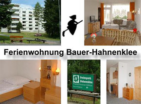 FeWo Bauer-Hahnenklee