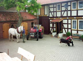 Besuchen Sie Ferienhof Gebhardt in Herrmannsacker im Harz!