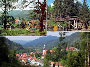 Ferienwohnungen Trautmann in Lautenthal