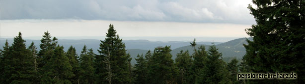 Nationalpark Harz (Foto: Denis Wollenhaupt)